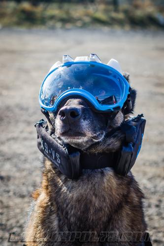 Fusil2small-28022018-