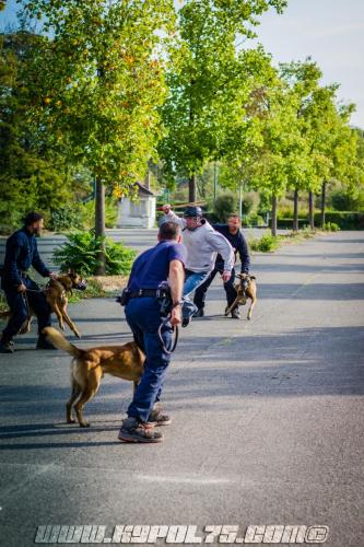 GrpeStageDI5-18092018-