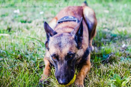 Guess2-small-02022018-