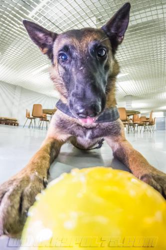 Guess2-small-31012018-