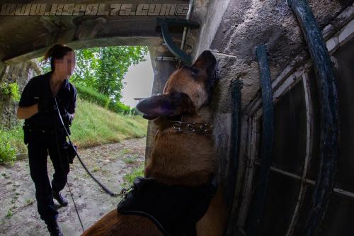 Gypsie2-small-16072018-