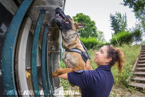 Gypsie3-small-16072018-