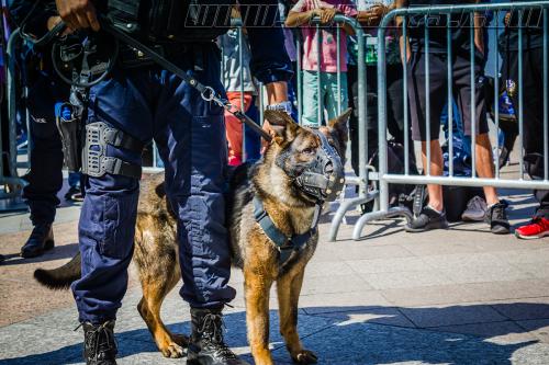 Harry2-small-05052018-