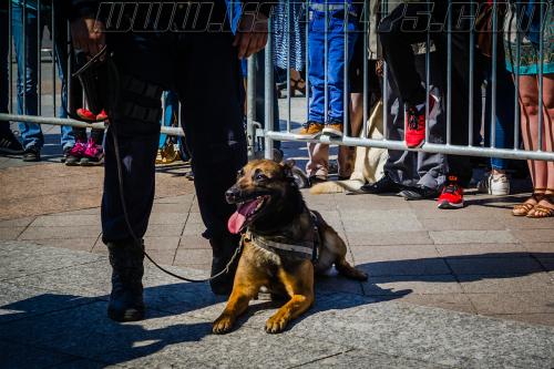 Harry3-small-05052018-