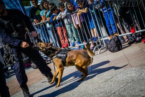 Harry4-small-05052018-