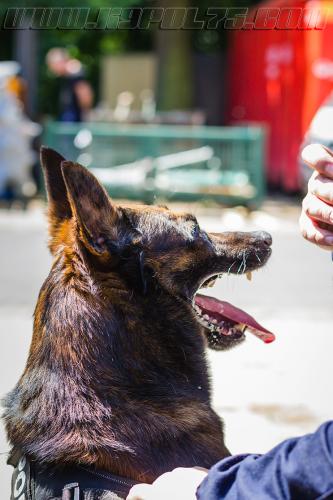 Harry5-small-17052018-