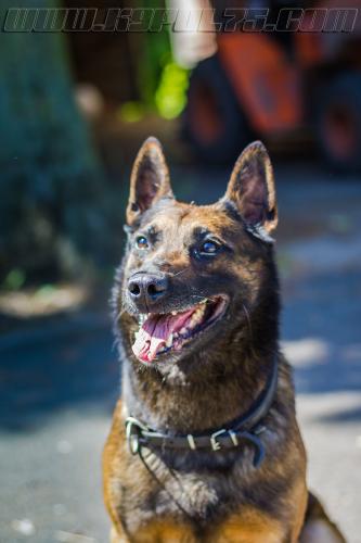 Harry6-small-17052018-