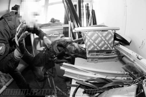 Iago3-small-09012018-