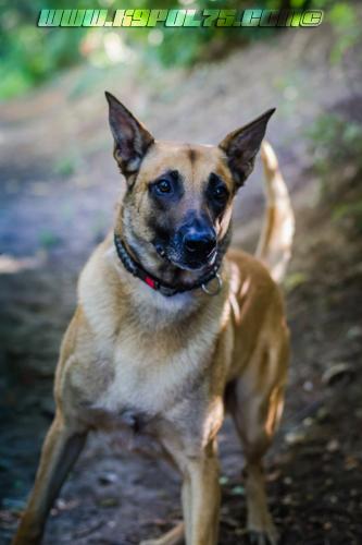 Illex10-BIG-19072018-