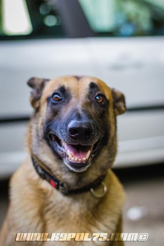 Illex12-BIG-19072018-