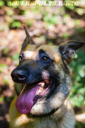 Illex6-BIG-19072018-