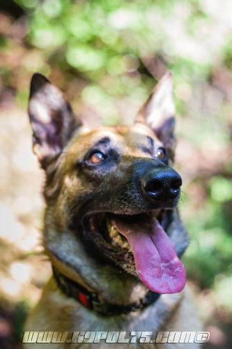 Illex9-BIG-19072018-