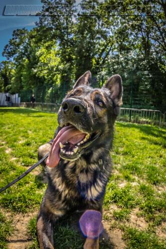 Impact1-small-11052018-