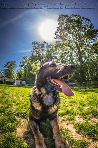 Impact2-small-11052018-