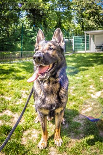 Impact3-small-11052018-