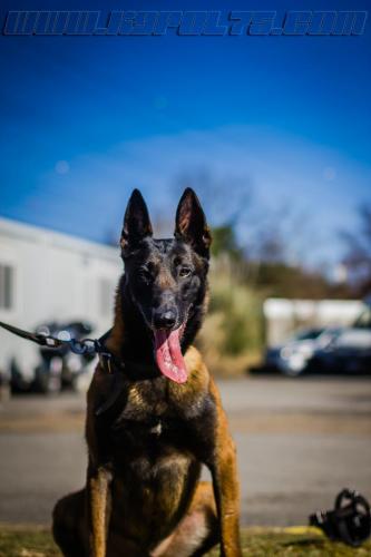 Iron3-small-14032018-