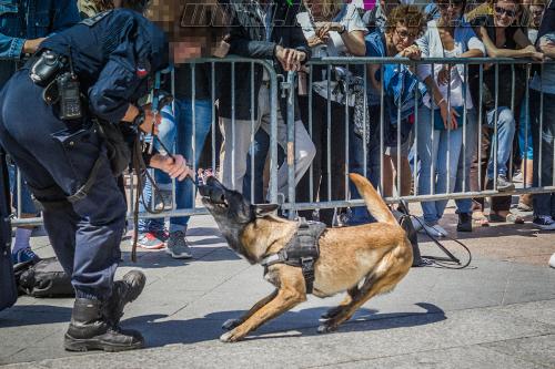 Isis1-small-05052018-