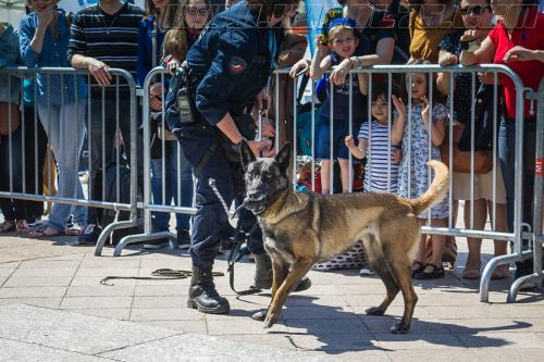 Isis2-small-05052018-