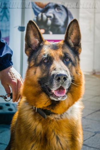 Izno1-small-05052018-