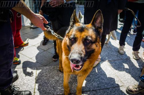 Izno6-small-05052018-