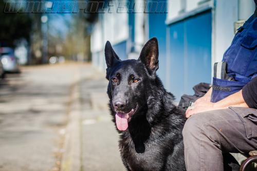 Jarod1-small-14032018- 2