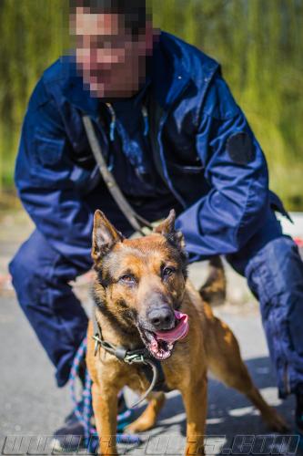 Jump2-small-21032018-