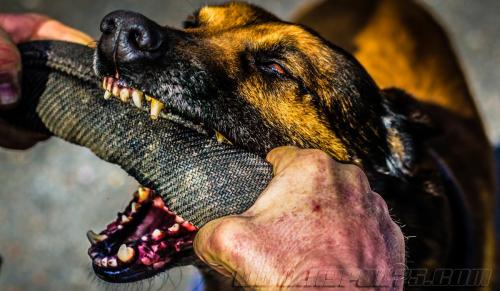 Jump3-small-21032018-