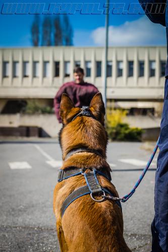 Jump4-small-21032018-