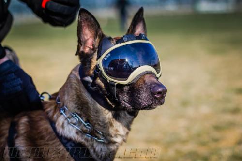 Kalash1small-28022018-