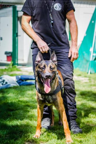 Kalash2-small-11052018-