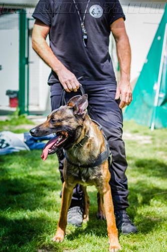 Kalash3-small-11052018-