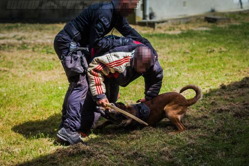 Kalash3-small-22062018-