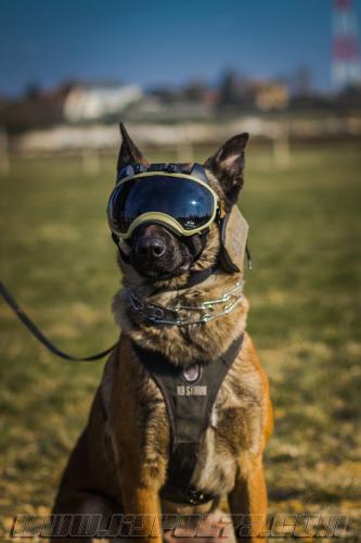 Kalash3small-28022018-