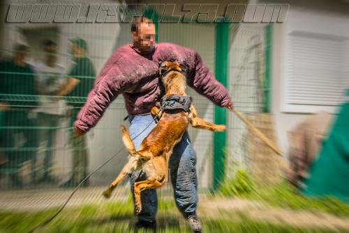 Kalash4-small-11052018-