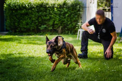 Kalash5-small-11052018-