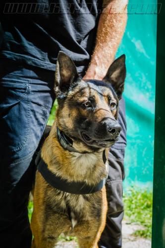 Kalash6-small-11052018-