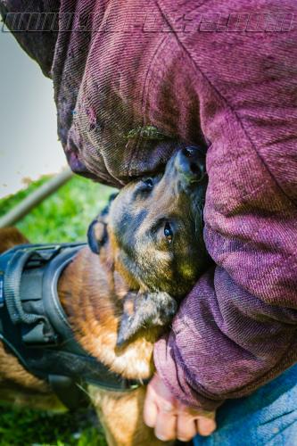 Kalash7-small-11052018-