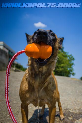 Lana1-1small-26072018