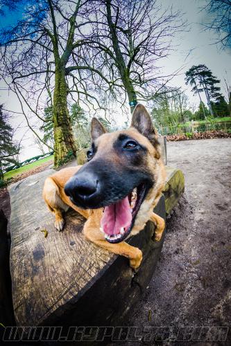 Lana1-small-02022018-