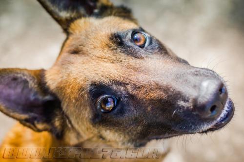 Lana1-small-21032018-