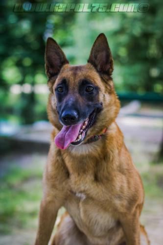 Lana1-small-22062018-