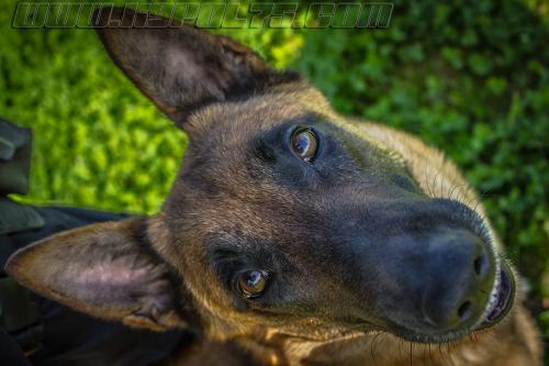 Lana1-small-25042018-