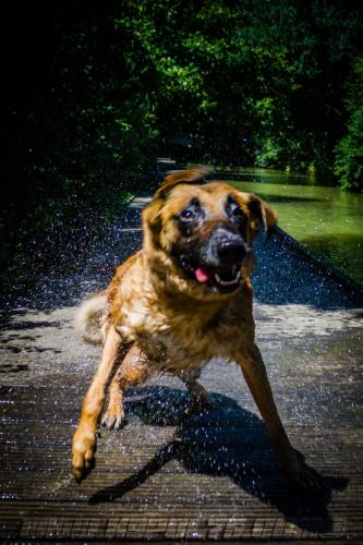 Lana1-small-28062018-