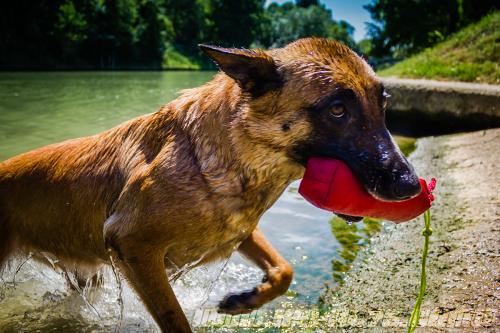 Lana10-small-27062018-