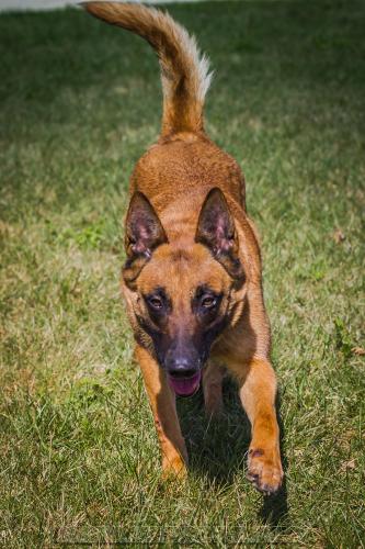 Lana12-small-21032018-