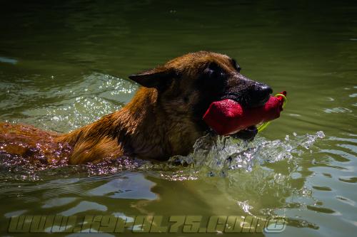 Lana15-small-27062018-