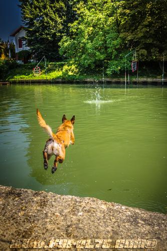 Lana2-1small-26072018