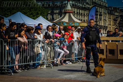 Lana2-small-05052018- 1