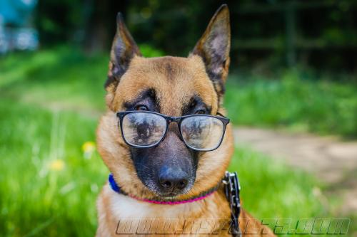 Lana2-small-14042018-