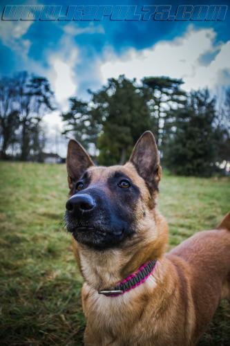 Lana2-small-19012018-